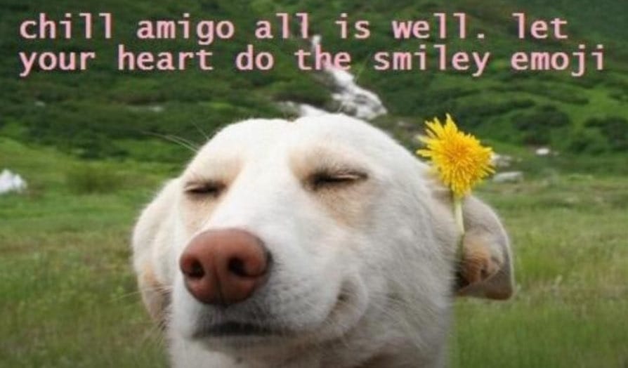 golden retriever looking calm and peaceful in a field, with the words "chill amigo all is well. let your heart do the smiley emoji" in pink text above it.
