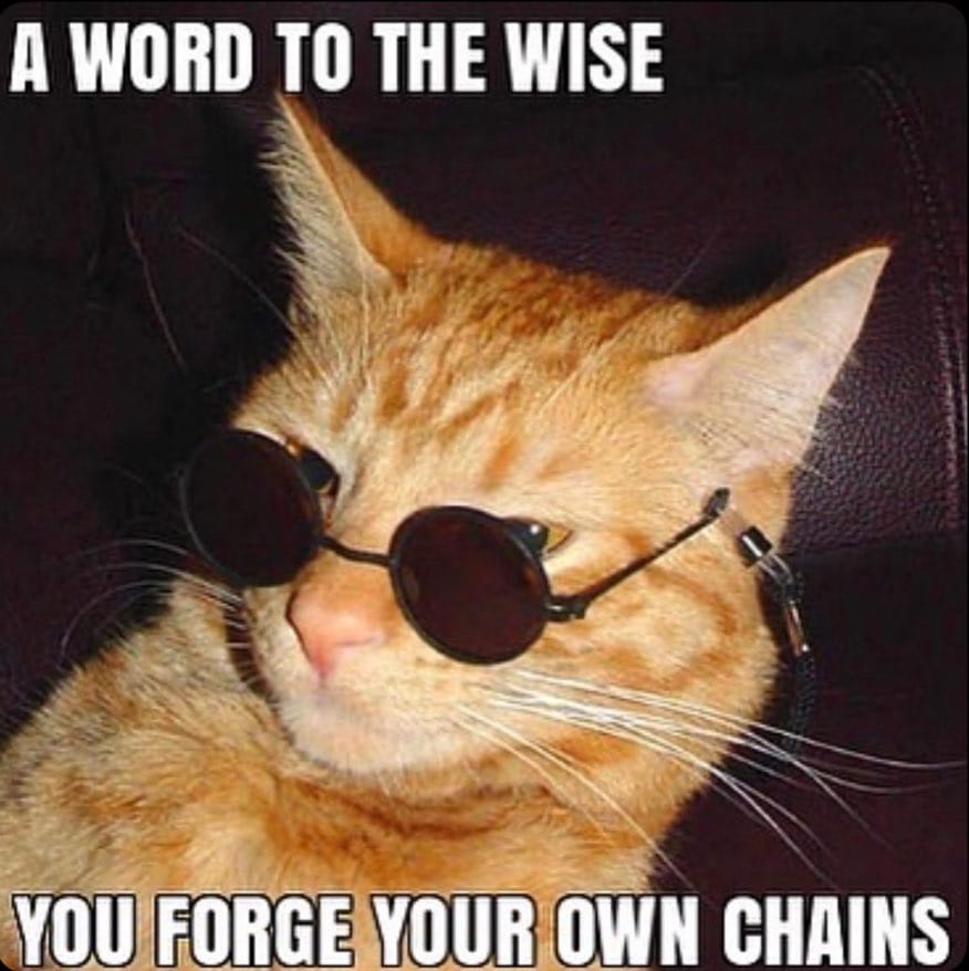 an image of an orange cat with meme text over it that says in all caps "A WORD TO THE WISE YOU FORGE YOUR OWN CHAINS"