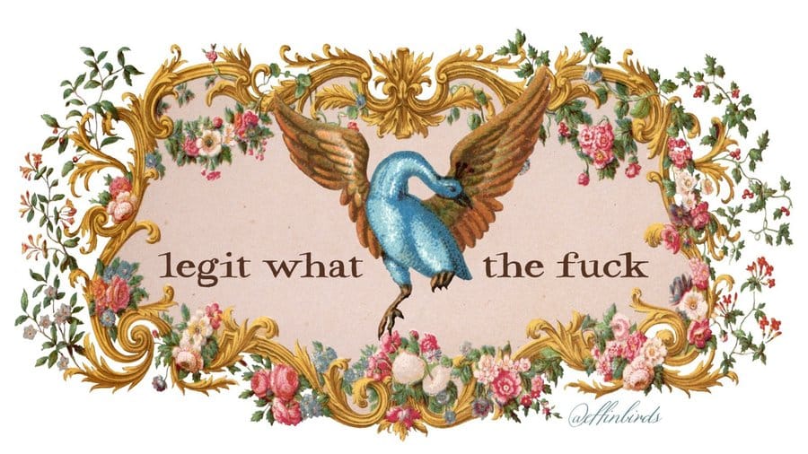 a meme from Effin' Birds with a floral background and an angelic looking blue bird with peach colored wings and the words "legit what the fuck" in the middle with flowers growing around it