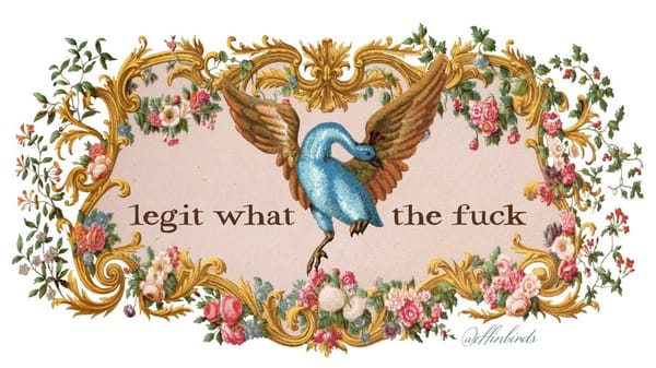 a meme from Effin' Birds with a floral background and an angelic looking blue bird with peach colored wings and the words "legit what the fuck" in the middle with flowers growing around it